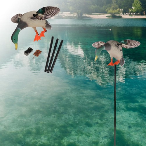 Chasse électrique canard - électrique,