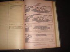 BENJAMIN RABIER AGENDA-BUVARD