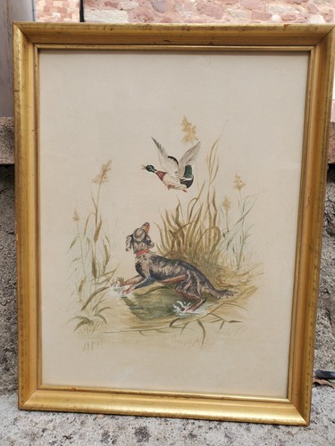 Dessin aquarelle animaux - animaux, chien