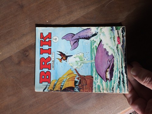 Petit format brik 115 - bd,