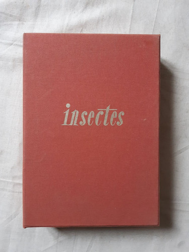 Insectes europe 192 - d'europe,,