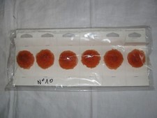 6 FLEURS A PIN'S DÉCORATION POUR RIDEAUX OU AUTRES-TISSU POLYAMIDE--N°10