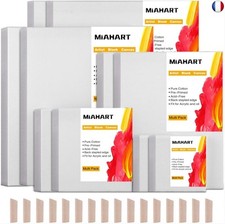 MIAHART 10 pièces Toile vierge d'artiste pour la peinture à l'huile acrylique d