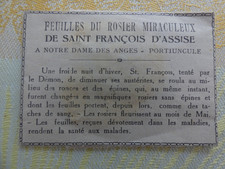 image pieuse relique FEUILLES ROSIER MIRACULEUX ST FRANCOIS D'ASSISE ND de anges