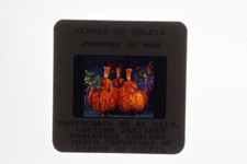 Cirque du Soleil Journey of