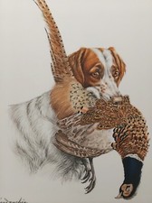 LEON DANCHIN EPAGNEUL BRETON