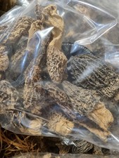 500 G Morille 500 G Brisure
