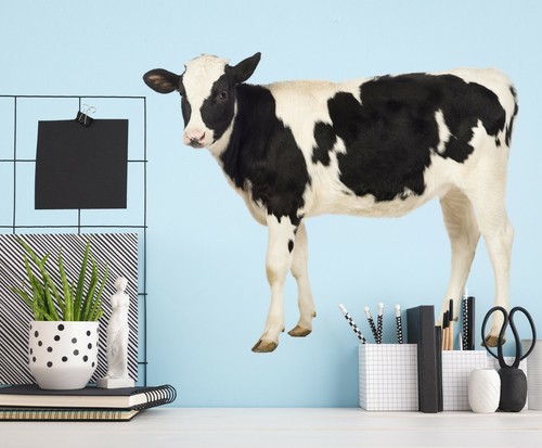 Papier peint animal - 3d, vache