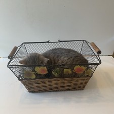 Panier En Fer Et Osier Vendu Sans Le Chat