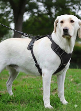 Harnais Chien Anti-Traction