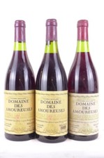lot de 3 bouteilles côtes du