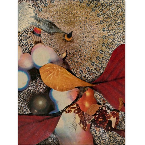 Hauchecorne philippe - hauchecorne,