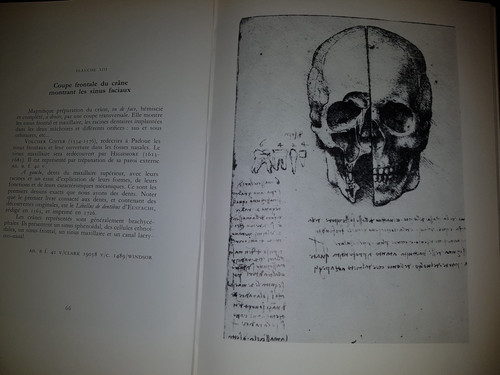 Livre ancien 1980 - léonard, de