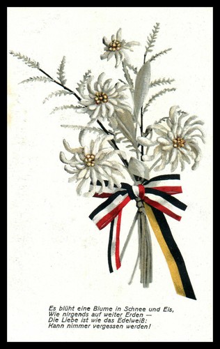 Carte postale - carte, postale,