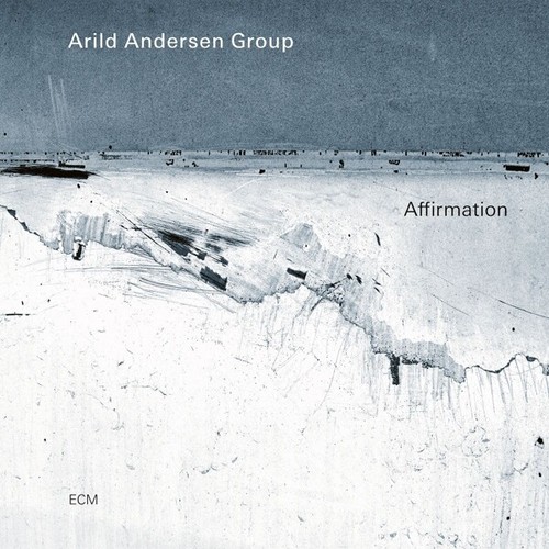 Arild andersen group - andersen,