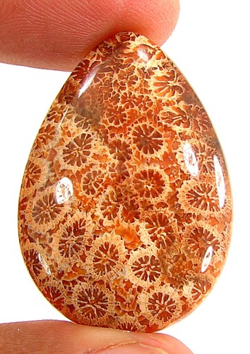 Cabochon pierre corail - cabochon,