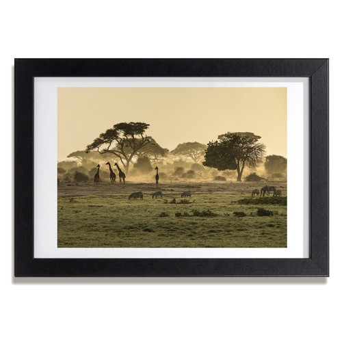 Tulup photo 30x20cm - décor, mdf