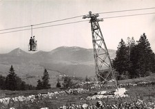 25-METABIEF MONT D OR LE