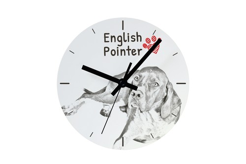 Montre pointer anglais avec - pointer,