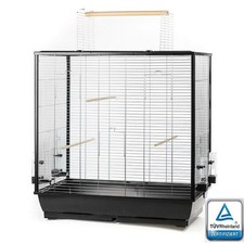 Grand cage oiseaux pour - grand,