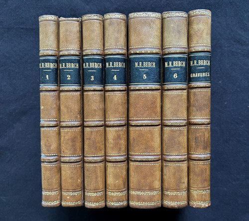 Berce lépidoptères - -,