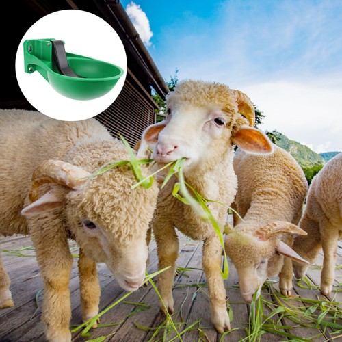 1pc bol eau vache - 1pc, à