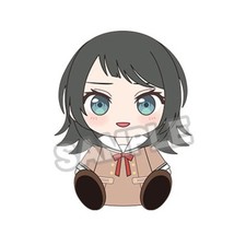 Bang dream ave - dream!, mujica
