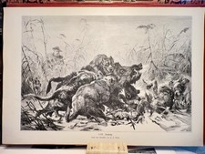 Sauhatz chasse au sanglier 1881 GRAVURE SUR BOIS art chasse chiens scène...