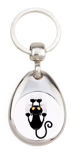 Chat qui glisse porte - porte, clé