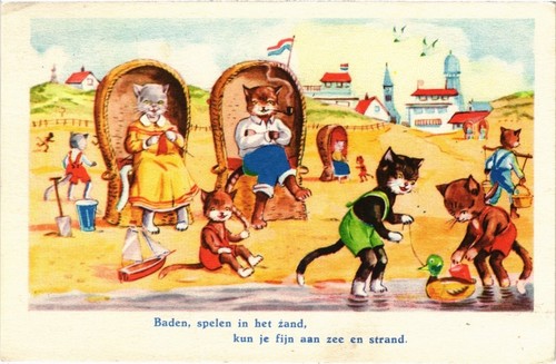 Cats baden spelen - pc,