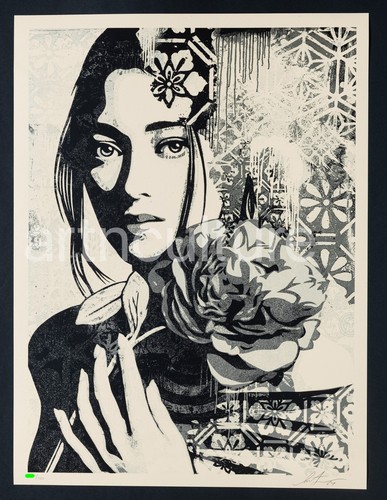 Shepard fairey - fairey, (obey)