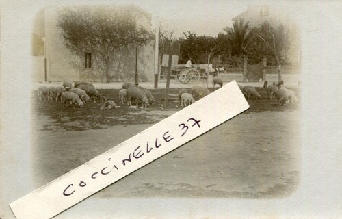 Carte photo identifier - à,