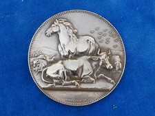 SUPERBE TB ! MEDAILLE Medal A. DUBOIS - CONCOURS G. AGRICOLE ? - CHEVAL Horse