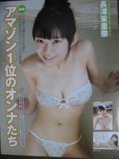 Clipping 338A-1 Marina