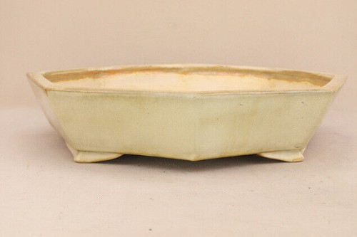 Bonsai pot jidai koto - bonsai,