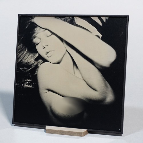 Original nude ambrotype - original,