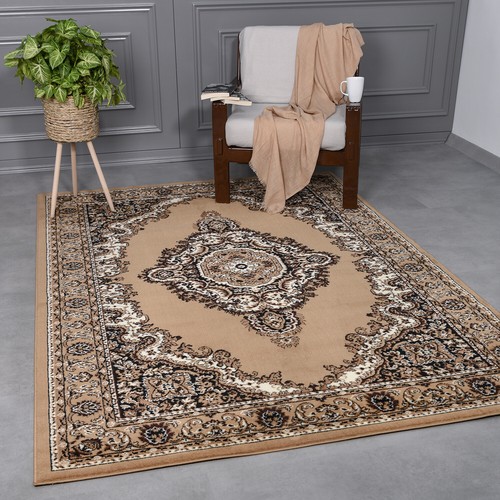 Tapis oriental classique - tapis,