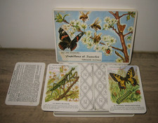 Ancien Jeu de 12 Familles
