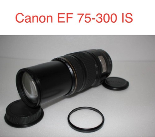 Objectif canon 300mm is - objectif,