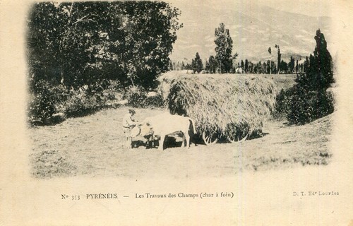 Carte agriculture dans les - dans,