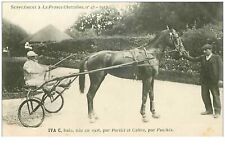 hippisme.n°35958.iva