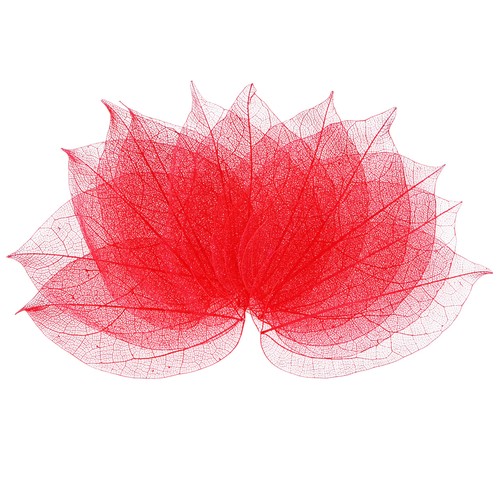 Lot 100 feuilles - lot,