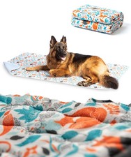 Tapis Absorbant Lavable pour