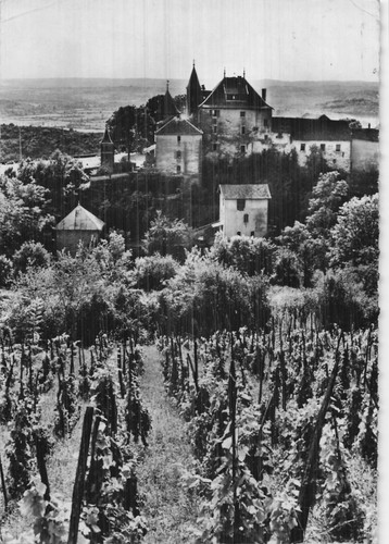Montagnieu colony jeunes des - colony,