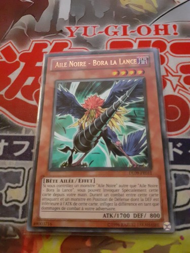 Aile noire bora lance - bora, dl09