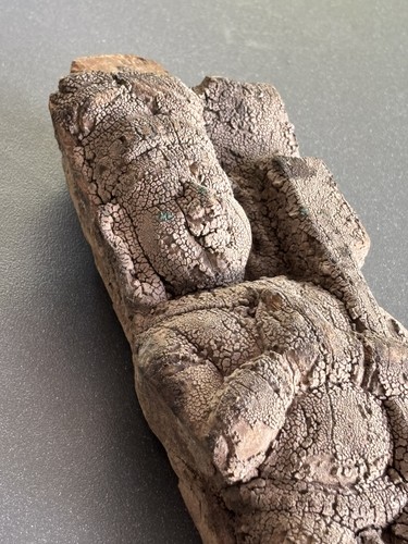 Ancienne sculpture bois - en,