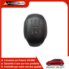 🇫🇷 POMMEAU LEVIER