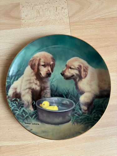 Assiette collection duck - collection,