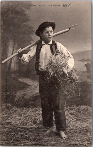 Briec un jeune faneur - 29,