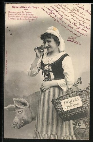 Carte postale périgord - carte,